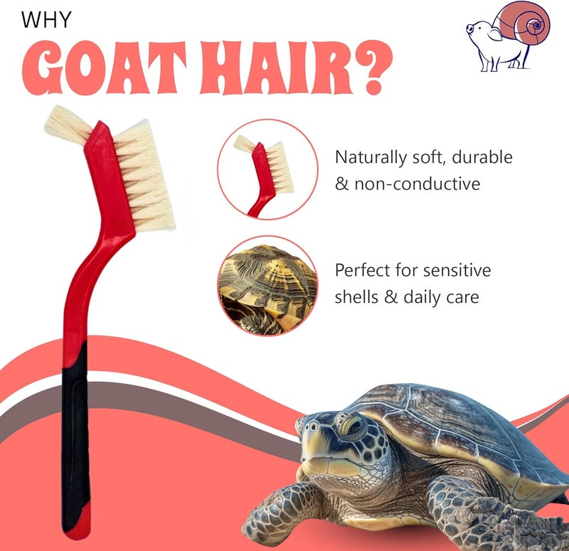 Snout and Shell Turtle Cleaning Brush - Gently Remove Dirt from Turtles and Tortoises - Red by - Image 3